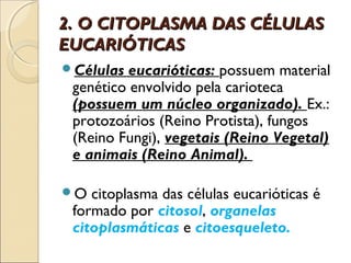 2. O CITOPLASMA DAS CÉLULAS
EUCARIÓTICAS
Células  eucarióticas: possuem material
 genético envolvido pela carioteca
 (possuem um núcleo organizado). Ex.:
 protozoários (Reino Protista), fungos
 (Reino Fungi), vegetais (Reino Vegetal)
 e animais (Reino Animal).

O  citoplasma das células eucarióticas é
 formado por citosol, organelas
 citoplasmáticas e citoesqueleto.
 