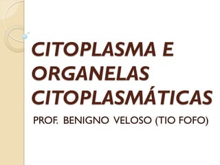 CITOPLASMA E
ORGANELAS
CITOPLASMÁTICAS
PROF. BENIGNO VELOSO (TIO FOFO)
 