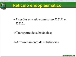  Funções que são comuns ao R.E.R. e
R.E.L.:
Transporte de substâncias;
Armazenamento de substâncias.
Retículo endoplasmático
 