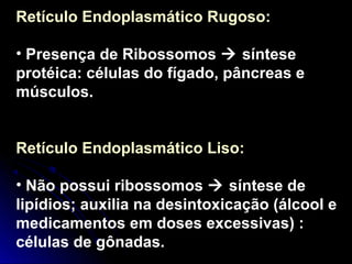 Retículo Endoplasmático Rugoso:
• Presença de Ribossomos  síntese
protéica: células do fígado, pâncreas e
músculos.
Retículo Endoplasmático Liso:
• Não possui ribossomos  síntese de
lipídios; auxilia na desintoxicação (álcool e
medicamentos em doses excessivas) :
células de gônadas.
 