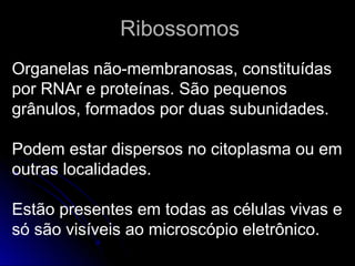 RibossomosRibossomos
Organelas não-membranosas, constituídas
por RNAr e proteínas. São pequenos
grânulos, formados por duas subunidades.
Podem estar dispersos no citoplasma ou em
outras localidades.
Estão presentes em todas as células vivas e
só são visíveis ao microscópio eletrônico.
 