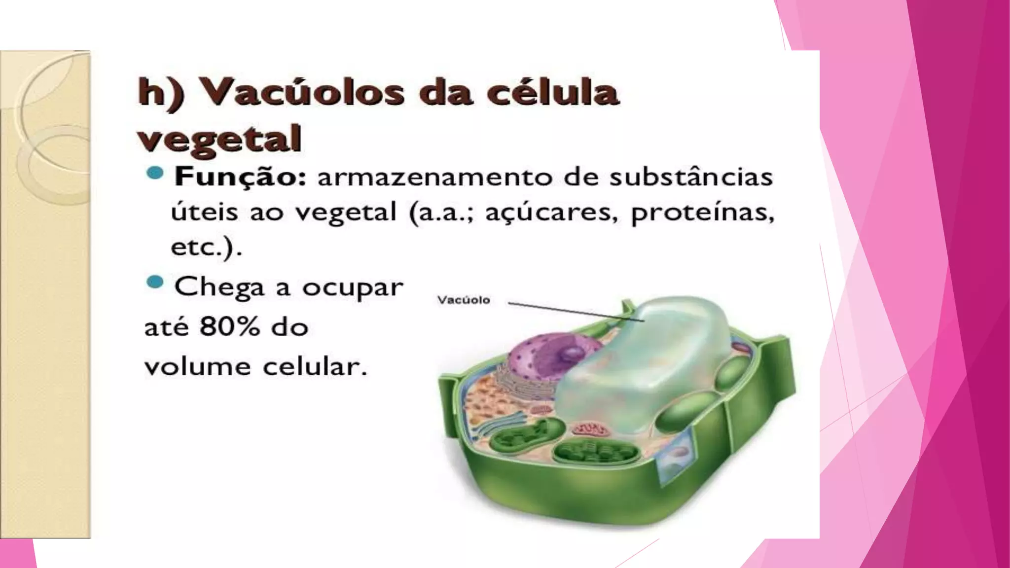 Citoplasma - parte 2