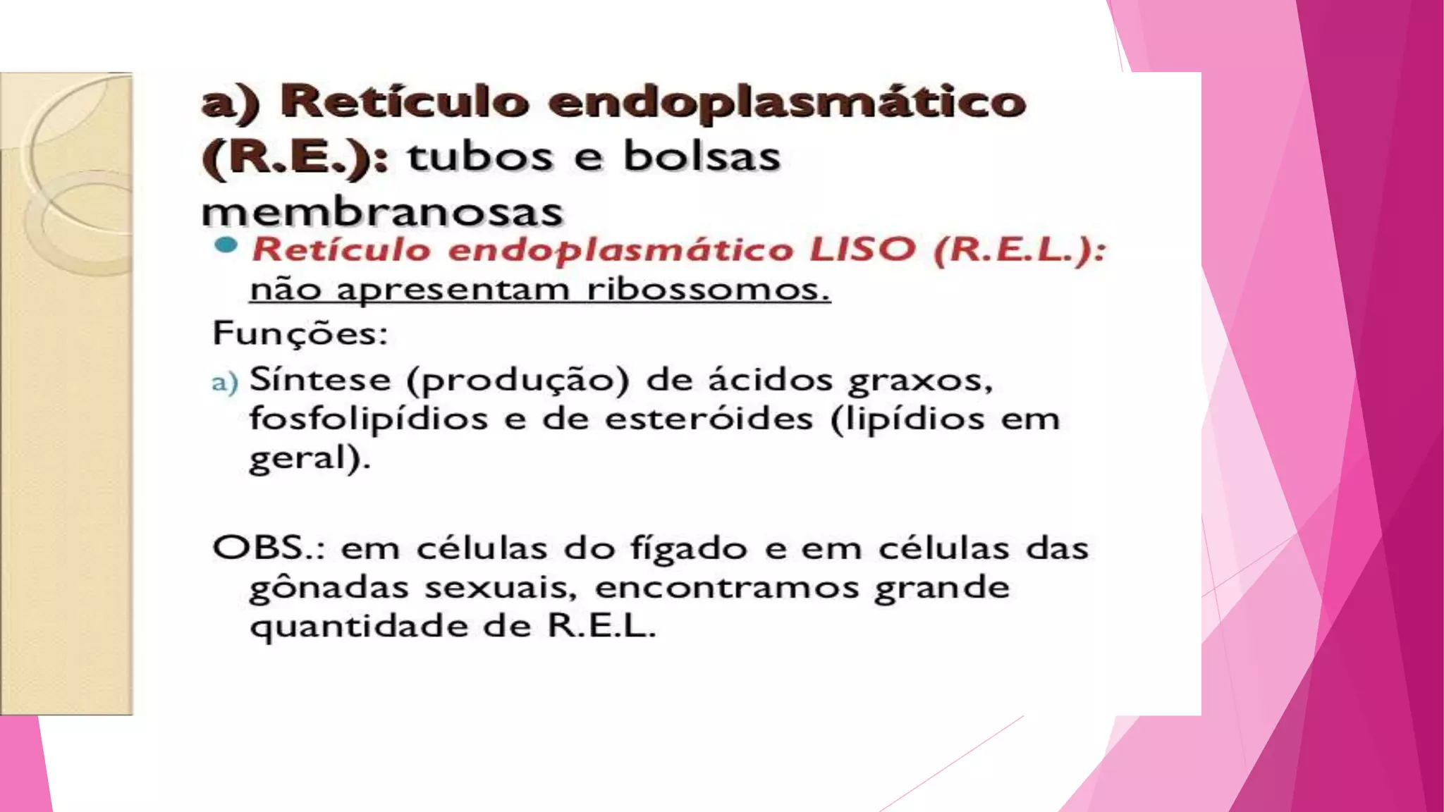 Citoplasma - parte 2