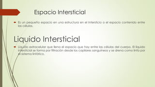 Espacio Intersticial
 Es un pequeño espacio en una estructura en el Intersticio o el espacio contenido entre
las células.
Liquido Intersticial
 Líquido extracelular que llena el espacio que hay entre las células del cuerpo. El líquido
intersticial se forma por filtración desde los capilares sanguíneos y se drena como linfa por
el sistema linfático.
 