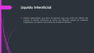 Liquido Intersticial
 Líquido extracelular que llena el espacio que hay entre las células del
cuerpo. El líquido intersticial se forma por filtración desde los capilares
sanguíneos y se drena como linfa por el sistema linfático.
 
