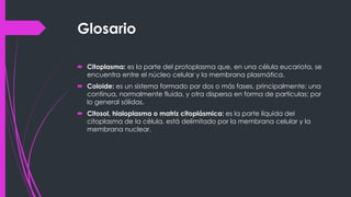 Glosario
 Citoplasma: es la parte del protoplasma que, en una célula eucariota, se
encuentra entre el núcleo celular y la membrana plasmática.
 Coloide: es un sistema formado por dos o más fases, principalmente: una
continua, normalmente fluida, y otra dispersa en forma de partículas; por
lo general sólidas.
 Citosol, hialoplasma o matriz citoplásmica: es la parte líquida del
citoplasma de la célula, está delimitado por la membrana celular y la
membrana nuclear.
 