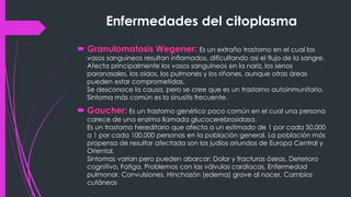 Enfermedades del citoplasma
 Granulomatosis Wegener: Es un extraño trastorno en el cual los
vasos sanguíneos resultan inflamados, dificultando así el flujo de la sangre.
Afecta principalmente los vasos sanguíneos en la nariz, los senos
paranasales, los oídos, los pulmones y los riñones, aunque otras áreas
pueden estar comprometidas.
Se desconoce la causa, pero se cree que es un trastorno autoinmunitario.
Síntoma más común es la sinusitis frecuente.
 Gaucher: Es un trastorno genético poco común en el cual una persona
carece de una enzima llamada glucocerebrosidasa.
Es un trastorno hereditario que afecta a un estimado de 1 por cada 50,000
a 1 por cada 100,000 personas en la población general. La población más
propensa de resultar afectada son los judíos oriundos de Europa Central y
Oriental.
Síntomas varían pero pueden abarcar: Dolor y fracturas óseas, Deterioro
cognitivo, Fatiga, Problemas con las válvulas cardíacas, Enfermedad
pulmonar, Convulsiones, Hinchazón (edema) grave al nacer, Cambios
cutáneos
 