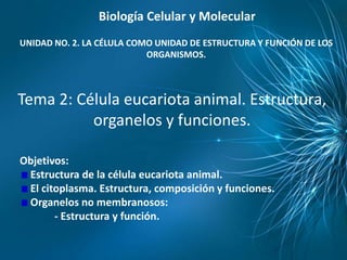Biología Celular y Molecular
UNIDAD NO. 2. LA CÉLULA COMO UNIDAD DE ESTRUCTURA Y FUNCIÓN DE LOS
                           ORGANISMOS.



Tema 2: Célula eucariota animal. Estructura,
          organelos y funciones.

Objetivos:
 Estructura de la célula eucariota animal.
 El citoplasma. Estructura, composición y funciones.
 Organelos no membranosos:
       - Estructura y función.
 