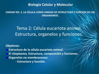 Biología Celular y Molecular
UNIDAD NO. 2. LA CÉLULA COMO UNIDAD DE ESTRUCTURA Y FUNCIÓN DE LOS
                           ORGANISMOS.



        Tema 2: Célula eucariota animal.
       Estructura, organelos y funciones.

Objetivos:
 Estructura de la célula eucariota animal.
 El citoplasma. Estructura, composición y funciones.
 Organelos no membranosos:
       - Estructura y función.
 