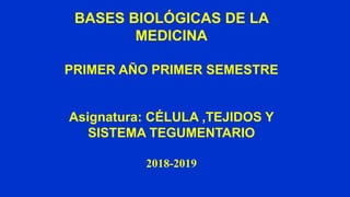 BASES BIOLÓGICAS DE LA
MEDICINA
PRIMER AÑO PRIMER SEMESTRE
Asignatura: CÉLULA ,TEJIDOS Y
SISTEMA TEGUMENTARIO
2018-2019
 