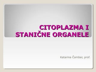 CITOPLAZMA ICITOPLAZMA I
STANIČNE ORGANELESTANIČNE ORGANELE
Katarina Čamber, prof.
 