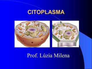 CITOPLASMA
Prof. Lúzia Milena
 
