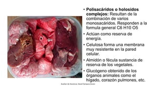 • Polisacáridos o holosidos
complejos: Resultan de la
combinación de varios
monosacáridos. Responden a la
formula general C6 H10 O5
• Actúan como reserva de
energía.
• Celulosa forma una membrana
muy resistente en la pared
celular.
• Almidón o fécula sustancia de
reserva de los vegetales.
• Glucógeno obtenido de los
órganos animales como el
hígado, corazón pulmones, etc.
Auxiliar de Docencia: David Yampara Duran
 