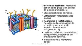 Esterinas esteridos: Formados
por un acido graso y un alcohol
de la serie aromática, Ej.
• El colesterol de los animales.
• El fitosferol y mitosferol de las
plantas
Fosfatidos o fosfolippidos:
Resultan de la combinación de
un acido graso y un acido
fosforico y compuestos
nitrogenados. Ej.
• Lecitinas, cefalinas, cerebrósidos,
esfinjomielina, integrantes del
protoplasma nervioso.
• Integrantes de la membrana
celular
Auxiliar de Docencia: David Yampara Duran
 