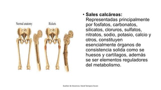 • Sales calcáreas:
Representadas principalmente
por fosfatos, carbonatos,
silicatos, cloruros, sulfatos,
nitratos, sodio, potasio, calcio y
otros, constituyen
esencialmente órganos de
consistencia solida como se
huesos y cartílagos, además
se ser elementos reguladores
del metabolismo.
Auxiliar de Docencia: David Yampara Duran
 