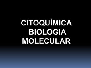 CITOQUÍMICA
BIOLOGIA
MOLECULAR
 