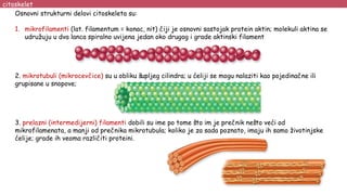 Osnovni strukturni delovi citoskeleta su:
1. mikrofilamenti (lat. filamentum = konac, nit) čiji je osnovni sastojak protein aktin; molekuli aktina se
udružuju u dva lanca spiralno uvijena jedan oko drugog i grade aktinski filament
2. mikrotubuli (mikrocevčice) su u obliku šupljeg cilindra; u ćeliji se mogu nalaziti kao pojedinačne ili
grupisane u snopove;
3. prelazni (intermedijerni) filamenti dobili su ime po tome što im je prečnik nešto veći od
mikrofilamenata, a manji od prečnika mikrotubula; koliko je za sada poznato, imaju ih samo životinjske
ćelije; grade ih veoma različiti proteini.
citoskelet
 