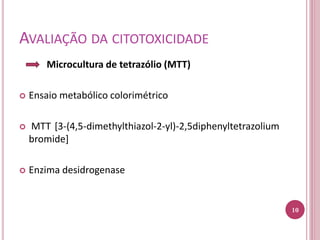 AVALIAÇÃO DA CITOTOXICIDADE
Microcultura de tetrazólio (MTT)
 Ensaio metabólico colorimétrico
 MTT [3-(4,5-dimethylthiazol-2-yl)-2,5diphenyltetrazolium
bromide]
 Enzima desidrogenase
10
 