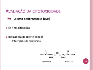 AVALIAÇÃO DA CITOTOXICIDADE
Lactato desidrogenase (LDH)
 Enzima citosólica
 Indicadora de morte celular
 Integridade da membrana
13
 