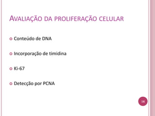 AVALIAÇÃO DA PROLIFERAÇÃO CELULAR
 Conteúdo de DNA
 Incorporação de timidina
 Ki-67
 Detecção por PCNA
16
 