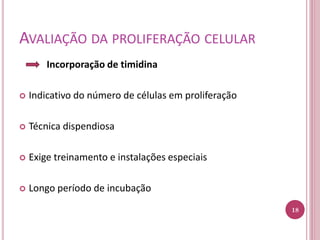 AVALIAÇÃO DA PROLIFERAÇÃO CELULAR
Incorporação de timidina
 Indicativo do número de células em proliferação
 Técnica dispendiosa
 Exige treinamento e instalações especiais
 Longo período de incubação
18
 