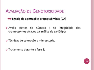AVALIAÇÃO DE GENOTOXICIDADE
Ensaio de aberrações cromossômicas (CA)
 Avalia efeitos no número e na integridade dos
cromossomos através da análise de cariótipos.
 Técnicas de coloração e microscopia.
 Tratamento durante a fase S.
29
 