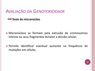 AVALIAÇÃO DA GENOTOXICIDADE
Teste do micronúcleo
 Micronúcleos se formam pela extrusão de cromossomos
inteiros ou seus fragmentos durante a divisão celular.
 Permite identificar eventual aumento na frequência de
mutações em células.
31
 
