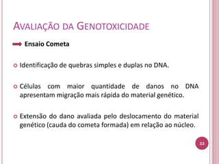 AVALIAÇÃO DA GENOTOXICIDADE
Ensaio Cometa
 Identificação de quebras simples e duplas no DNA.
 Células com maior quantidade de danos no DNA
apresentam migração mais rápida do material genético.
 Extensão do dano avaliada pelo deslocamento do material
genético (cauda do cometa formada) em relação ao núcleo.
33
 