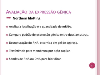 AVALIAÇÃO DA EXPRESSÃO GÊNICA
Northern blotting
 Analisa a localização e a quantidade de mRNA.
 Compara padrão de expressão gênica entre duas amostras.
 Desnaturação do RNA e corrida em gel de agarose.
 Trasferência para membrana por ação capilar.
 Sondas de RNA ou DNA para hibridizar.
37
 