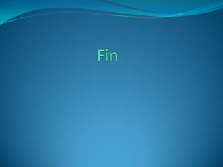 Fin