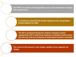 The PMF is an electrochemical gradient across the membrane involving
two components,
A membrane potential ΔΨ (inside negative) and a pH gradient
(inside alkaline for LAB).
The ΔΨ is produced during the antiport transport system
catalyzed by CitP in which one molecule of divalent citrate enters
into the cell, and one molecule of monovalent lactate is excreted.
The result of this process is the cellular uptake of one negative net
charge.
 
