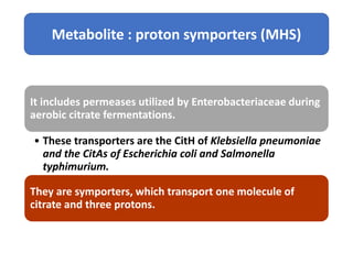 It includes permeases utilized by Enterobacteriaceae during
aerobic citrate fermentations.
• These transporters are the CitH of Klebsiella pneumoniae
and the CitAs of Escherichia coli and Salmonella
typhimurium.
They are symporters, which transport one molecule of
citrate and three protons.
Metabolite : proton symporters (MHS)
 