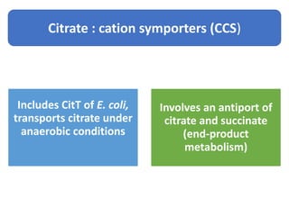 Citrate : cation symporters (CCS)
Includes CitT of E. coli,
transports citrate under
anaerobic conditions
Involves an antiport of
citrate and succinate
(end-product
metabolism)
 