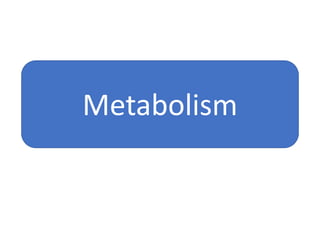 Metabolism
 