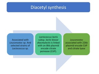 Associated with
Leuconostoc sp. And
selected strains of
Lactococcus sp.
Lactococcus lactis
subsp. lactis biovar
diacetylactis is linked
with an 8kb plasmid
encode citrate
pemease (CitP).
Leuconostoc
associated with 22kb
plasmid encode CitP
and citrate lyase
Diacetyl synthesis
 