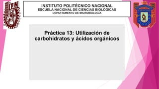 INSTITUTO POLITÉCNICO NACIONAL
ESCUELA NACIONAL DE CIENCIAS BIOLÓGICAS
DEPARTAMENTO DE MICROBIOLOGÍA
Práctica 13: Utilización de
carbohidratos y ácidos orgánicos
 