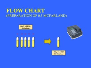 FLOW CHART (PREPARATION OF 0.5 MCFARLAND) OD 625 = 0.8-0.10 0.5 McFarland BaCl 2 + H 2 SO 4 (Dilution) 1:1 1:2 1:3 1:4 1:5