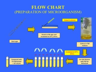 FLOW CHART (PREPARATION OF MICROORGANISM) Compared with 0.5 McFarland = 10 5 cfu/ml ten fold dilution with PSS for Mcfarland Culture in TSB medium Slant agar Streak on NA agar and incubated at 37 o C; 24 hrs Picked 3 colonies 10 -1 10 -2 10 -3 10 -4 10 -5 10 -6 10 -7 10 -8 Incubated at 37 o C ; 24 hrs