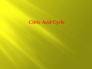 Citric Acid Cycle

 