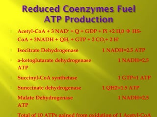 

Acetyl-CoA + 3 NAD+ + Q + GDP + Pi +2 H20  HSCoA + 3NADH + QH2 + GTP + 2 CO2 + 2 H+



Isocitrate Dehydrogenase

1 NADH=2.5 ATP



a-ketoglutarate dehydrogenase
ATP

1 NADH=2.5



Succinyl-CoA synthetase

1 GTP=1 ATP



Sunccinate dehydrogenase



Malate Dehydrogenase
ATP



Total of 10 ATPs gained from oxidation of 1 Acetyl-CoA

1 QH2=1.5 ATP
1 NADH=2.5

 