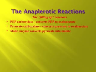 The "filling up" reactions
• PEP carboxylase - converts PEP to oxaloacetate
• Pyruvate carboxylase - converts pyruvate to oxaloacetate
• Malic enzyme converts pyruvate into malate

 