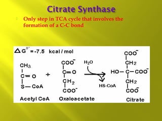 

Only step in TCA cycle that involves the
formation of a C-C bond

 