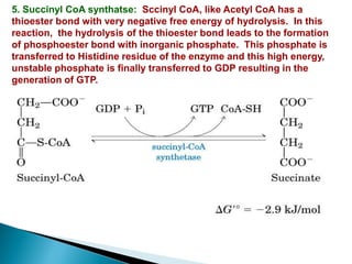 5. Succinyl CoA synthatse: Sccinyl CoA, like Acetyl CoA has a
thioester bond with very negative free energy of hydrolysis. In this
reaction, the hydrolysis of the thioester bond leads to the formation
of phosphoester bond with inorganic phosphate. This phosphate is
transferred to Histidine residue of the enzyme and this high energy,
unstable phosphate is finally transferred to GDP resulting in the
generation of GTP.
 