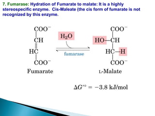 7. Fumarase: Hydration of Fumarate to malate: It is a highly
stereospecific enzyme. Cis-Maleate (the cis form of fumarate is not
recognized by this enzyme.
 