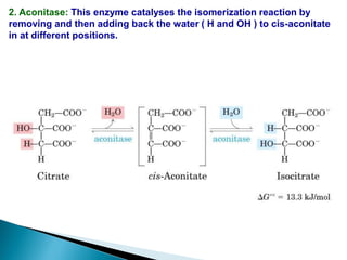 2. Aconitase: This enzyme catalyses the isomerization reaction by
removing and then adding back the water ( H and OH ) to cis-aconitate
in at different positions.
 