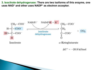 3. Isocitrate dehydrogenase: There are two isoforms of this enzyme, one
uses NAD+ and other uses NADP+ as electron acceptor.
 