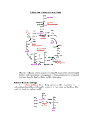 pyruvate
acetyl CoA
The citric acid cycle contains a cyclic sequence of 8 enzymes that are so arranged
that they perform molecular rearrangements of intermediate metabolic compounds
to prepare them for decarboxylation and dehydrogenation.
.Selected Enzymatic Steps
1. Citrate synthase: this is a 2 step reaction: an aldol condensation of
oxaloacetate and acetyl CoA, followed by hydrolysis to yield citrate and free CoA. The
hydrolysis step is not easily reversible.
pyruvate
dehydrogenase
COO
C O
CH3
-
SCoA
C O
CH3
CoASH
NADH CO2
CoASH
CO2
-
CH2
C CO2
-
HO
CH2
CO2
-
citric
acid
CO2
-
CH2
CH2
C CO2
-O
αKG
succinyl CoA
CO2
-
CH2
CH2
CO2
-
succinate
CO2
-
CHOH
CH2
CO2
-
malate
CO2
-
C
CH2
CO2
-
O
OAA
CO2
NADH
CO2
CoASH
NADH
CoASH
GTP
FADH2
NADH
B. Overview of the Citric Acid Cycle
Citrate
synthase
αKG
dehydrogenase
CH2
CH2
C SCoA
O
CO2
-
Succinyl CoA
synthetase
Malate
dehydrogenase
acetyl CoA
SCoA
C O
CH3
CoASH
CO2
-
CH2
C CO2
-
HO
CH2
CO2
-
citric
acid
CO2
-
C
CH2
CO2
-
O
Citrate
synthase
 
