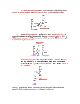 2. α-ketoglutarate dehydrogenase: a multi-enzyme complex very similar
to pyruvate dehydrogenase. This step is irreversible. It also produces NADH.
CO2
-
CH2
CH2
C CO2
-O
αKG
succinyl CoA
CO2
NADH
CH2
CH2
C SCoA
O
CO2
-
αKG
dehydrogenase
CoASH
3. succinyl CoA synthetase: succinyl CoA has a high negative ΔG°' of
hydrolysis, and can, therefore, be coupled to the direct phosphorylation of GDP →
GTP (which is equivalent to ATP); this reaction is fairly reversible. This is an example
of substrate level phosphorylation.
Succinyl CoA
synthetase
succinyl CoA
CO2
-
CH2
CH2
CO2
-
succinate
CoASH
GTP
CH2
CH2
C SCoA
O
CO2
-
4. malate dehydrogenase: this is a good example of a reaction that has a
net flow opposite to an unfavorable Keq. That is the oxidation of
malate by NAD+ to produce oxaloacetate + NADH + H+ has a ∆G°' of
+ 7 kcal/mole.
CO2
-
CHOH
CH2
CO2
-
malate
CO2
-
C
CH2
CO2
-
O
OAA
NADH
Malate
dehydrogenase
Question: What can you deduce from the above direction of this reaction about the
respective physiological concentrations of malate and oxaloacetate?
 