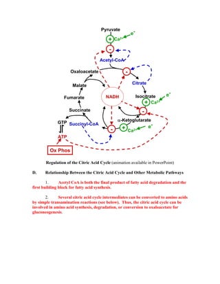 Pyruvate
Ca2+
Acetyl-CoA
Citrate
Isocitrate
α-Ketoglutarate
Ca2+
Ca2+
Succinyl-CoAGTP
Regulation of the Citric Acid Cycle (animation available in PowerPoint)
D. Relationship Between the Citric Acid Cycle and Other Metabolic Pathways
1. Acetyl CoA is both the final product of fatty acid degradation and the
first building block for fatty acid synthesis.
2. Several citric acid cycle intermediates can be converted to amino acids
by simple transamination reactions (see below). Thus, the citric acid cycle can be
involved in amino acid synthesis, degradation, or conversion to oxaloacetate for
gluconeogenesis.
ATP
Succinate
Fumarate
Malate
Oxaloacetate
NADH
-
+
-
-
+
-
+
e-
e-
e-
Ox Phos
 