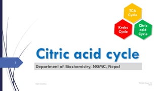 Department of Biochemistry, NGMC, Nepal
Thursday, August 18,
2016
Rajesh Chaudhary
1
TCA
Cycle
Krebs
Cycle
Citric
acid
Cycle
 